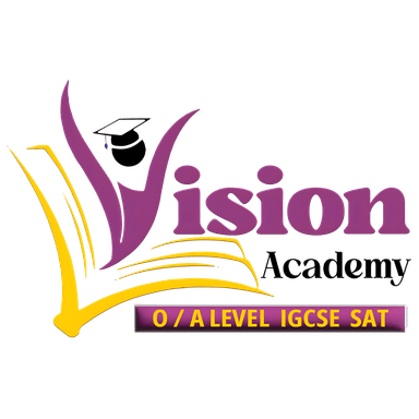 Vision Academy