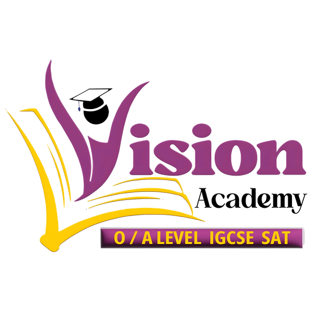 Vision Academy